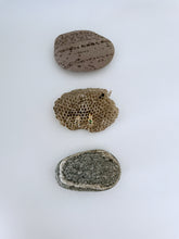 Load image into Gallery viewer, Rhea Cluster Gemstone Hoop Earrings